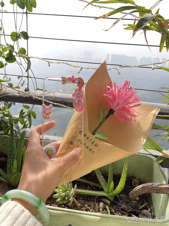 又是一年女神节_节日手镯翡翠