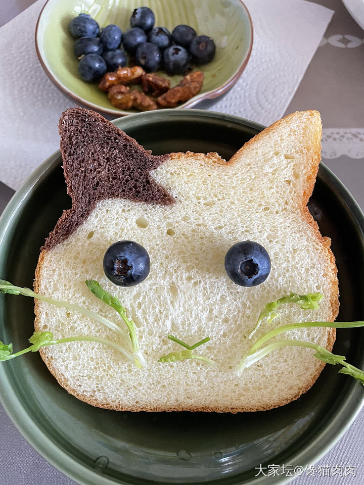 前几天被坛友种草的猫型面包_厨艺美食