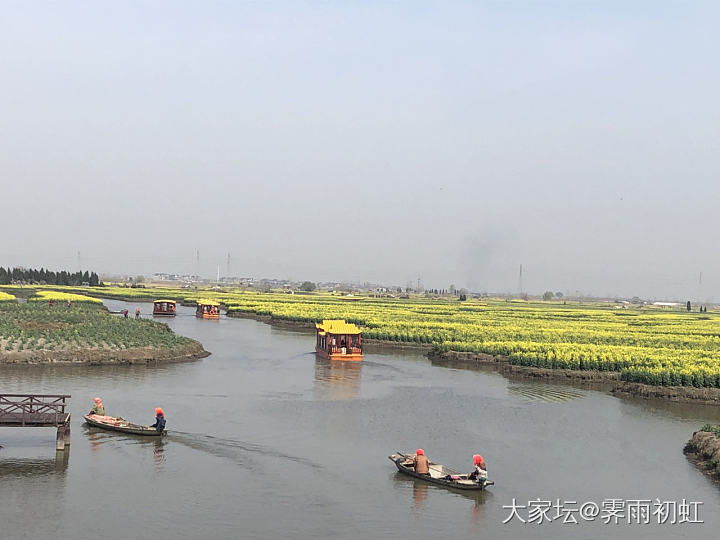 一路溜达不忘拍粉绿和冰粉_首饰