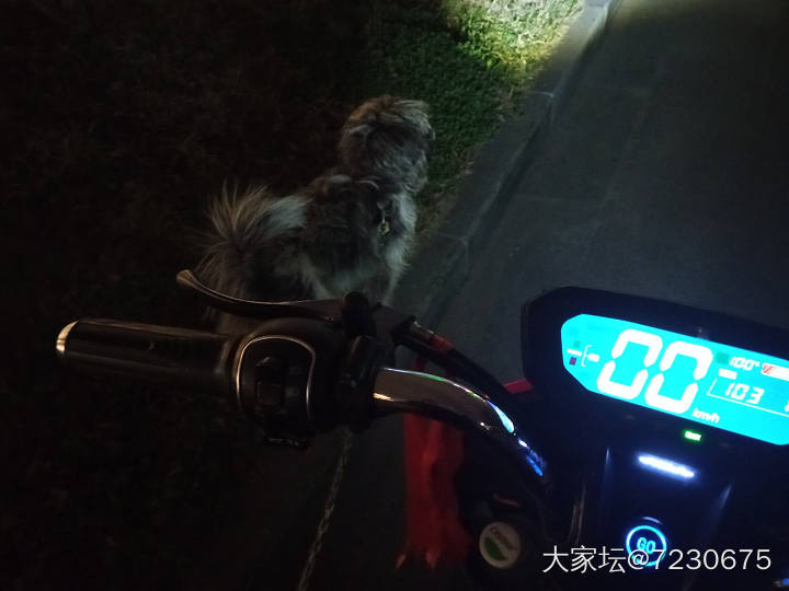 晚上出门遛遛狗，看看运河上的船_旅游