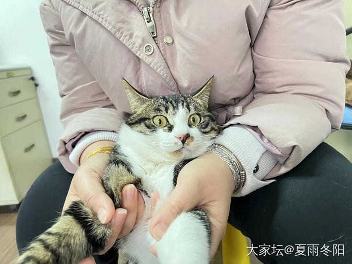 行李箱被这俩货中的一个给滋了……_猫宠物