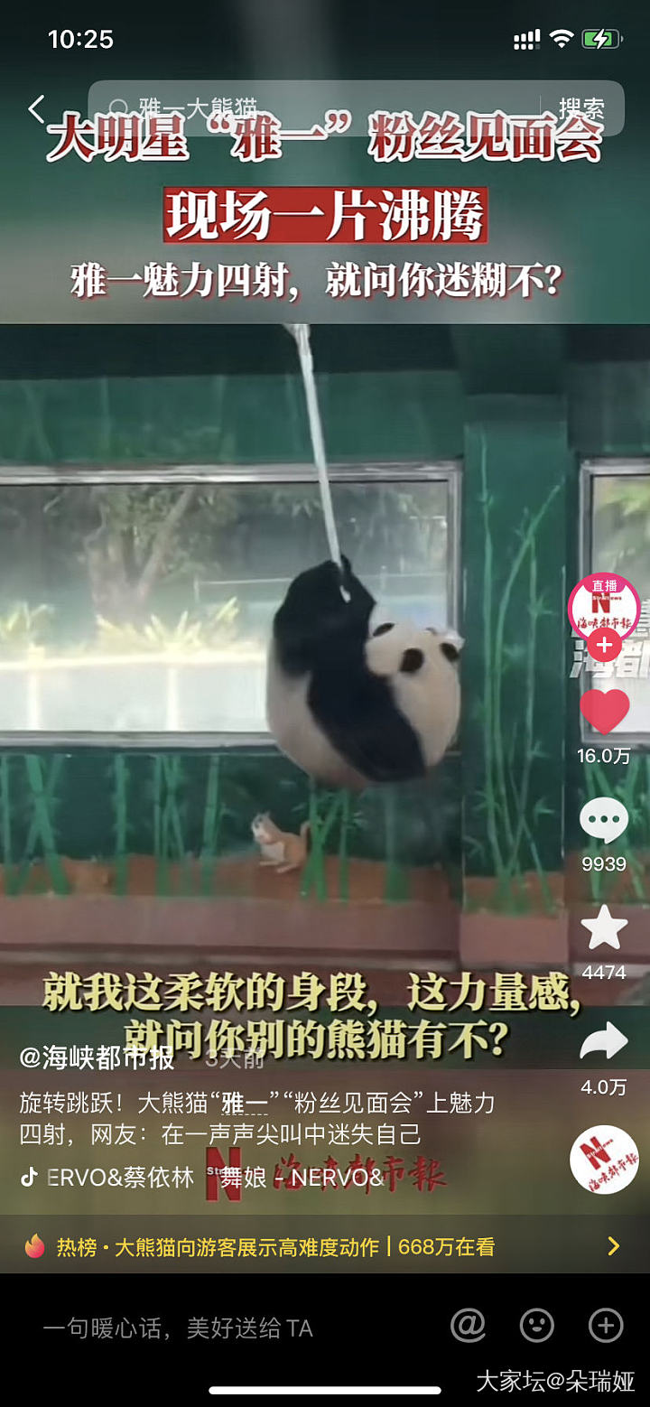 贵为国宝的大熊猫也是同猫不同命_宠物