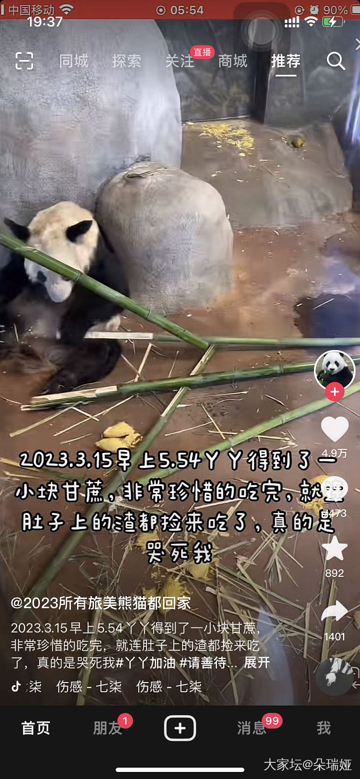 贵为国宝的大熊猫也是同猫不同命_宠物