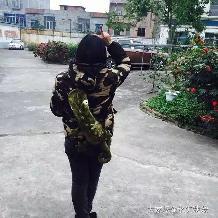 这是什么奇葩设计，真的有人买单吗😂_包包