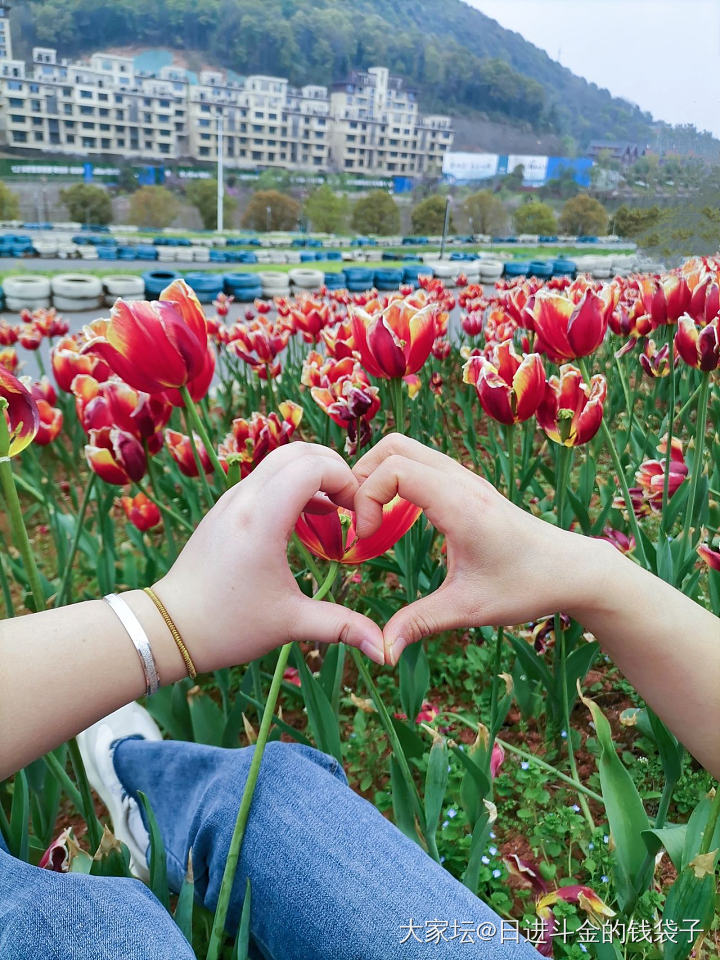 ིྀ𝑠𝑝𝑟𝑖𝑛𝑔🕊🌸花有约​春不误~_景色植物花