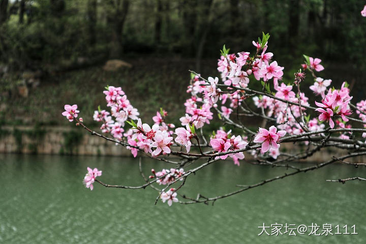 16/30  阳了以后变懒了，不运动心情都容易抑郁，今天出门走走好多了_植物旅游银