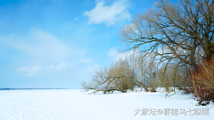 依然冰封的湖泊和田野_景色