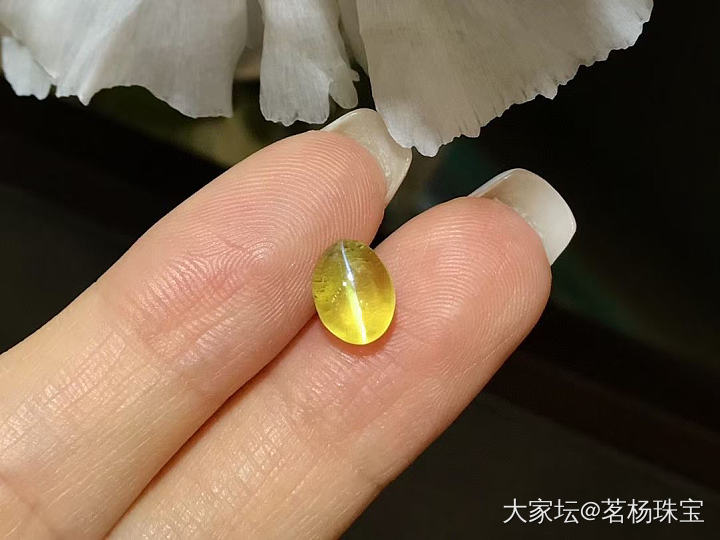2.88ct金绿猫眼_彩色宝石