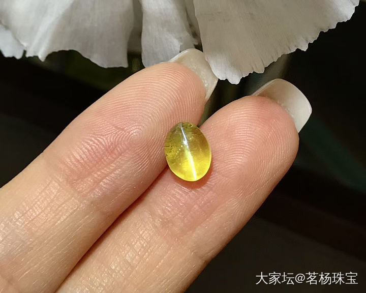 2.88ct金绿猫眼_彩色宝石