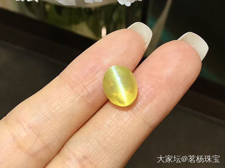 7.26ct金绿猫眼～_彩色宝石