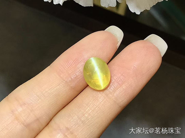 7.26ct金绿猫眼～_彩色宝石