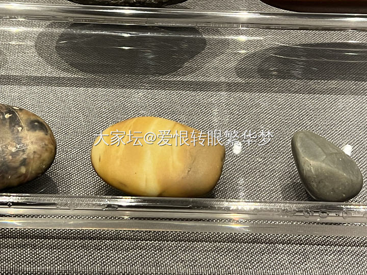 金沙博物馆展示_博物馆闲聊