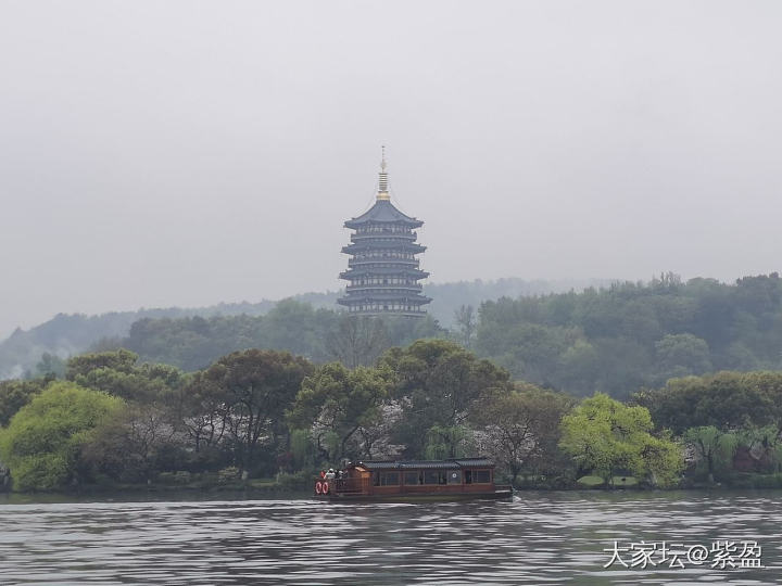 鼋头渚樱花已经绽放，如果晴天就完美！微风细雨中游西湖，宛如画中游！_旅游