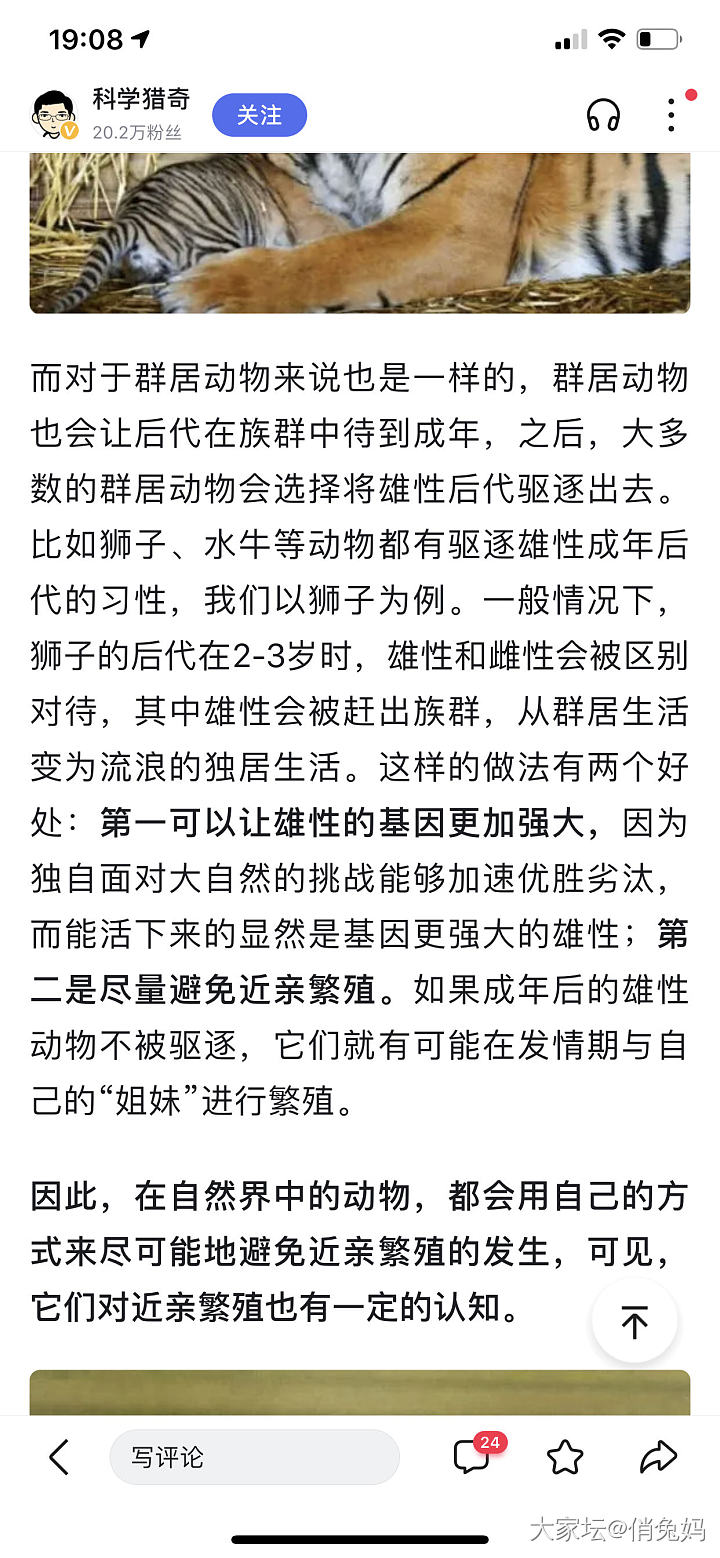 三只猫的关系，黑的是公猫，黄的是母猫，还有一只黄黑的是它俩的女儿_猫