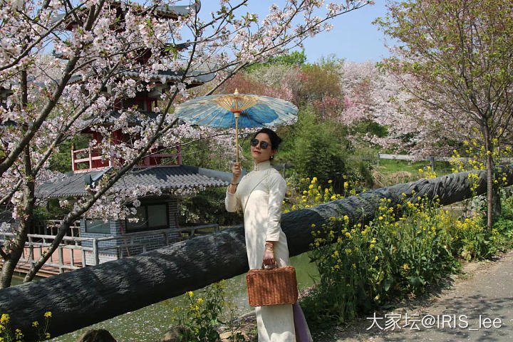 余杭樱花谷一日游_景色坛友风采旅游