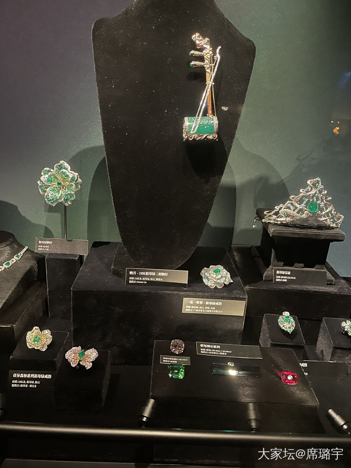 今天逛了珠宝展
从此开启贤者模式_展会名贵宝石