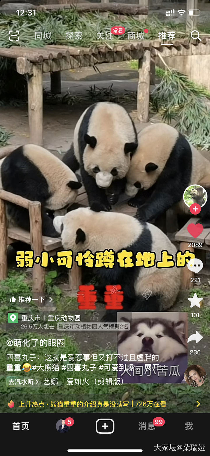 四喜丸子三打一 😂