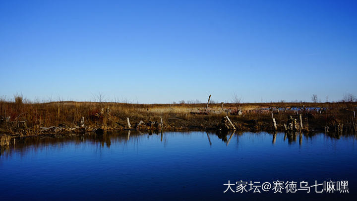 风和日丽，骑行在瓦砾堆成的自然保护区，娃又累又饿，光碟😅😅_景色