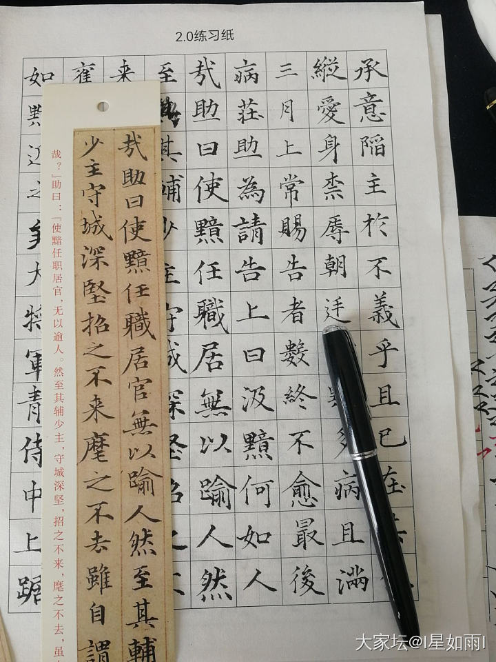 练字打卡0403_书法