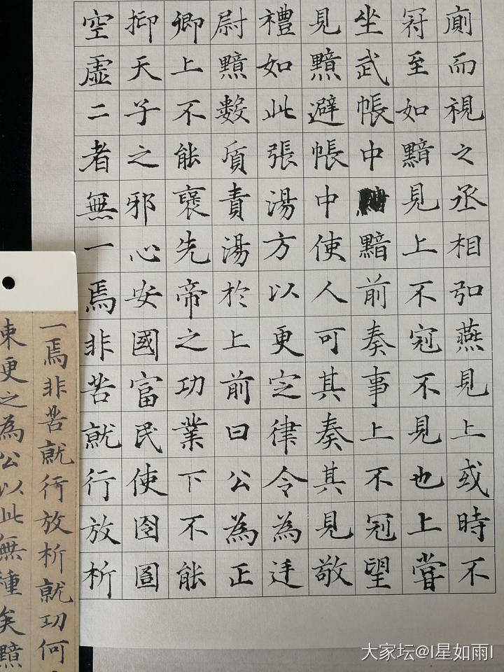 练字打卡0403_书法