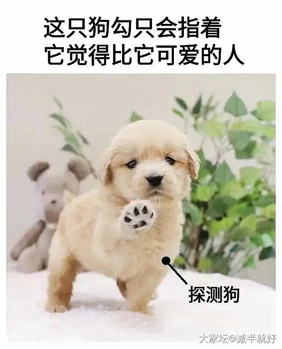 你们有什么想问我的吗？_闲聊