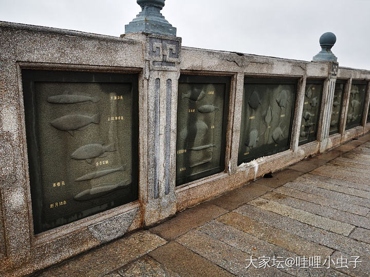 清明节，我们去看陈嘉庚_旅游闲聊