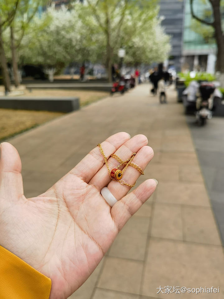 清明节捡到一根金项链_金