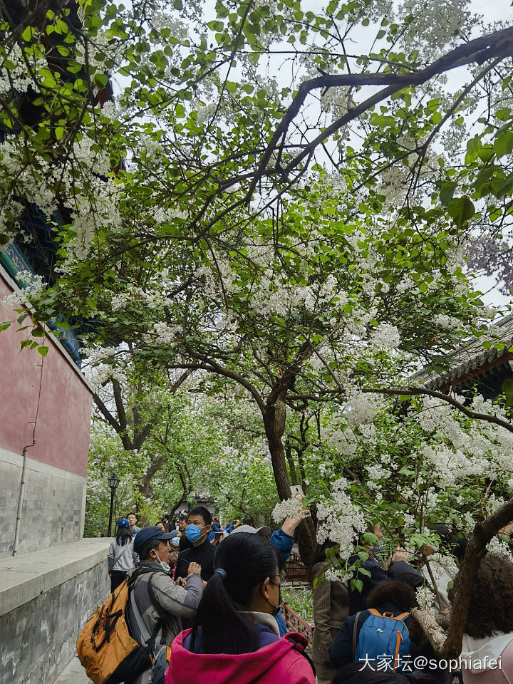 清明节捡到一根金项链_金