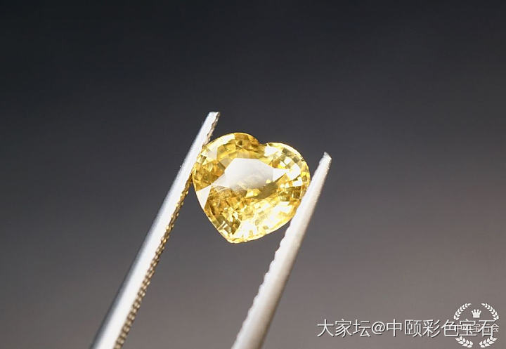 ##中颐天然黄色蓝宝石##  2.55ct_蓝宝石名贵宝石