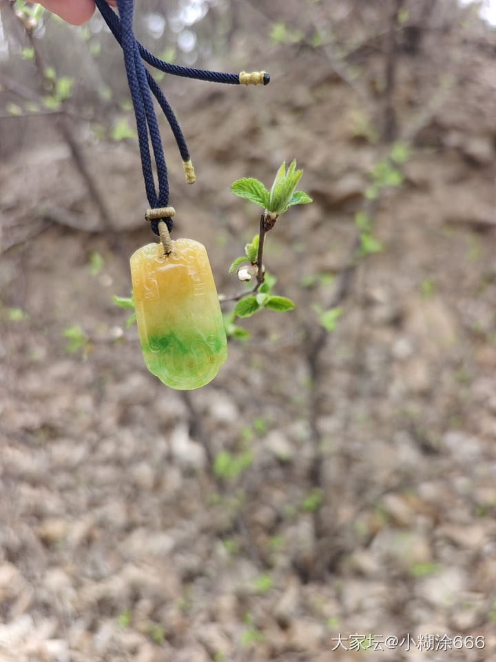 又到了桃红柳绿的季节_牌子翡翠