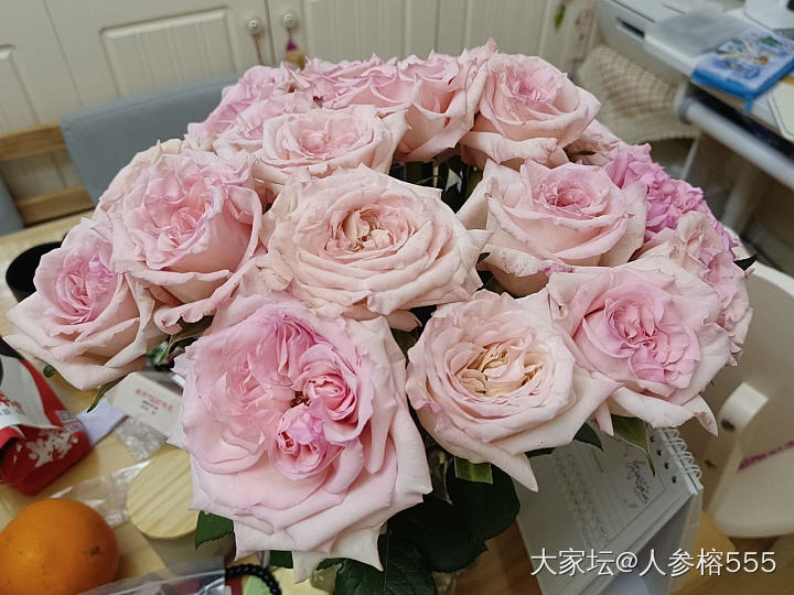 最近的玫瑰太美了_花