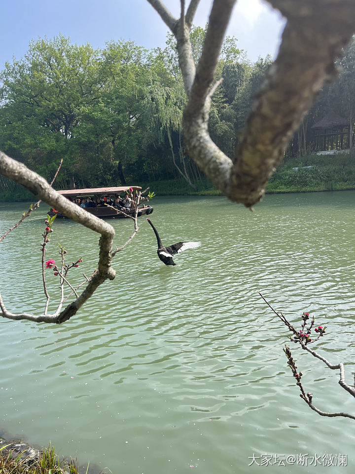 扬州行_景色扬州旅游