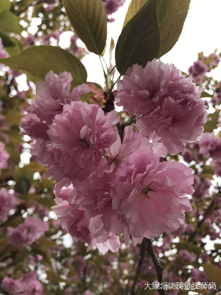这个季节可太好玩了，穿啥的都有_穿搭