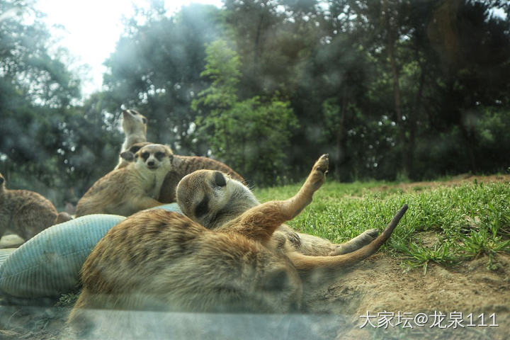 红山动物园真的要承包我未来一周的快乐_闲聊旅游