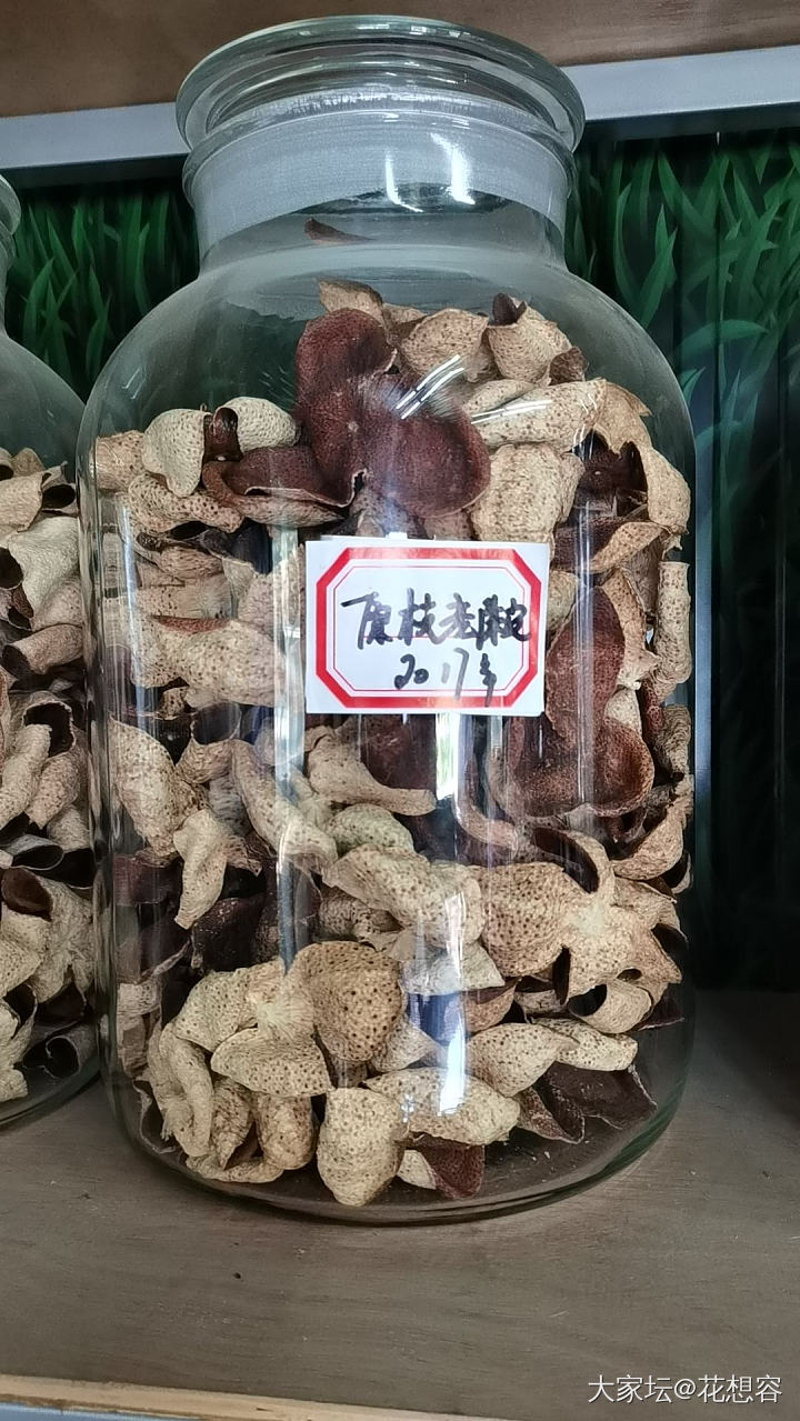 说说陈皮_食材