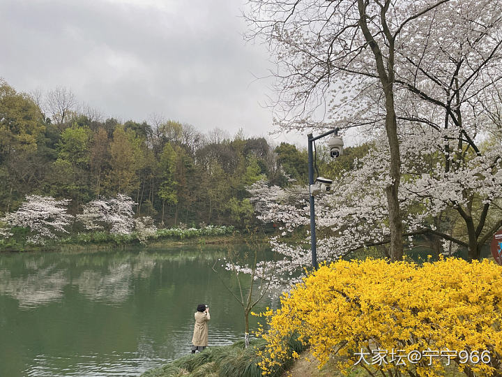 春有约，花不误_景色旅游