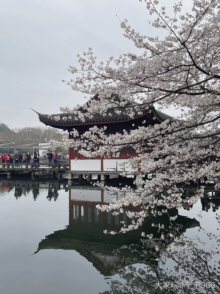 春有约，花不误_景色旅游