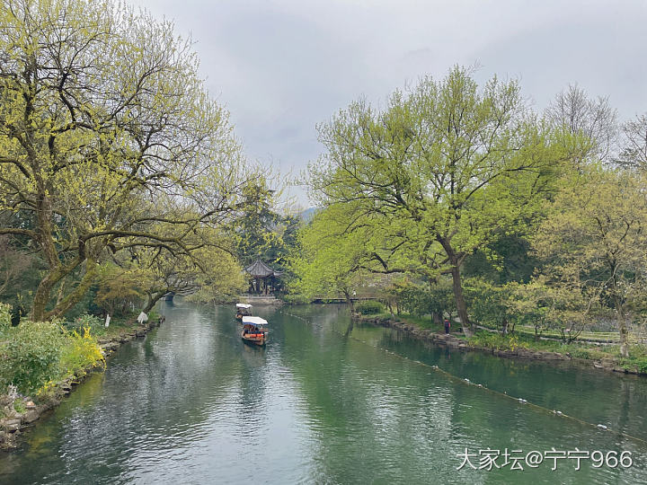 春有约，花不误_景色旅游