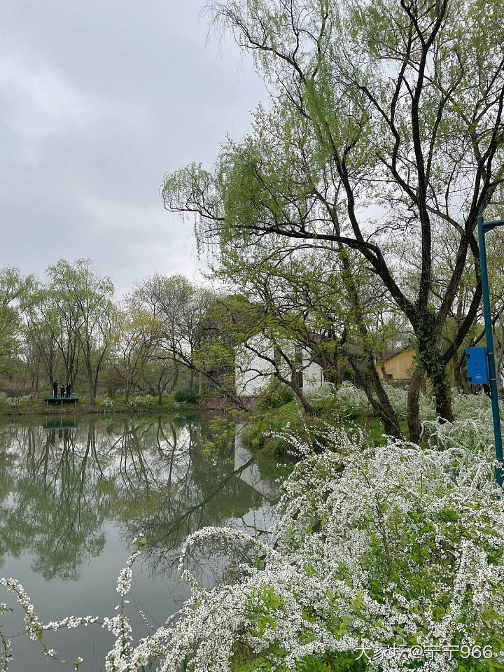 春有约，花不误_景色旅游