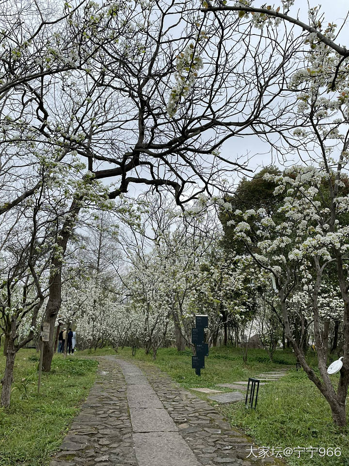 春有约，花不误_景色旅游