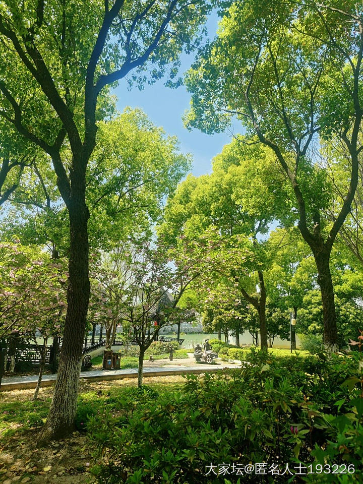 春有约，花不误_景色旅游