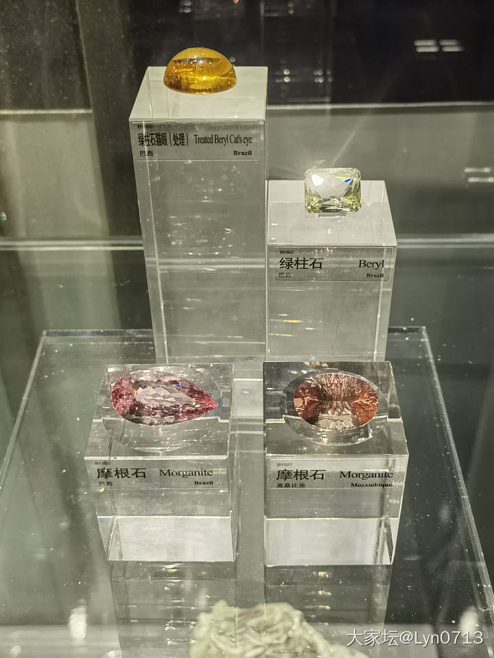 今天去逛了地质博物馆_博物馆