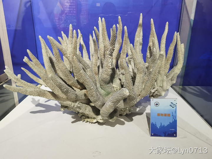 今天去逛了地质博物馆_博物馆