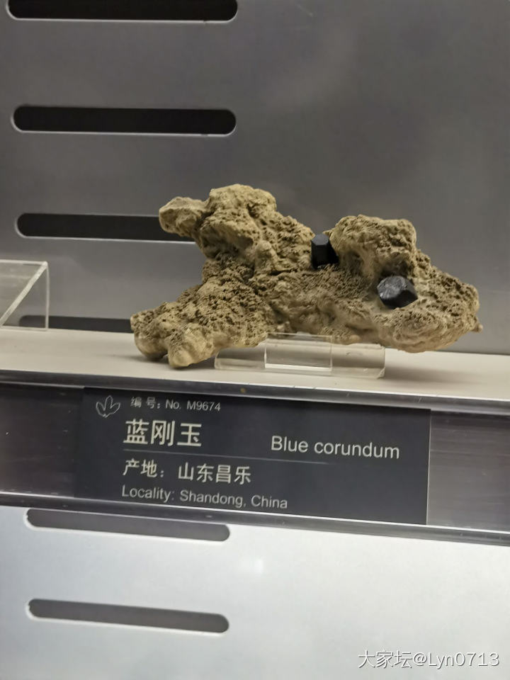 今天去逛了地质博物馆_博物馆