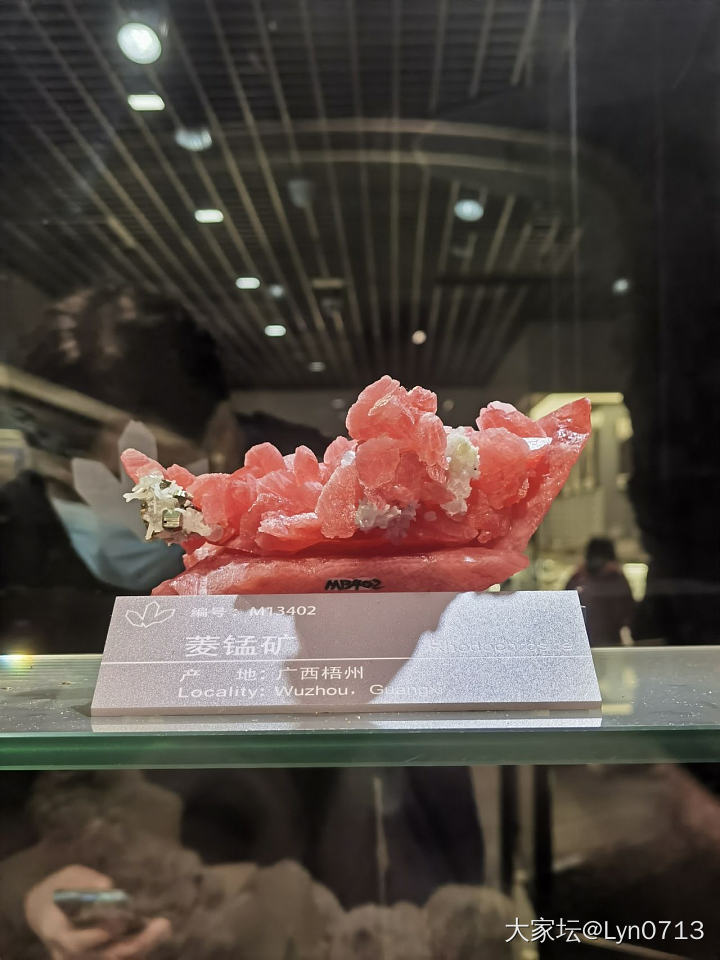 今天去逛了地质博物馆_博物馆