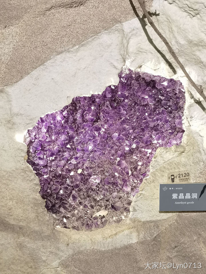 今天去逛了地质博物馆_博物馆