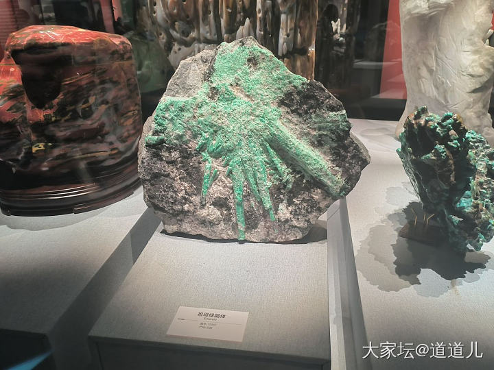 今天去逛了地质博物馆_博物馆