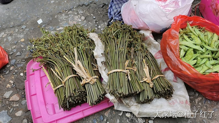 赶大集_食材生活