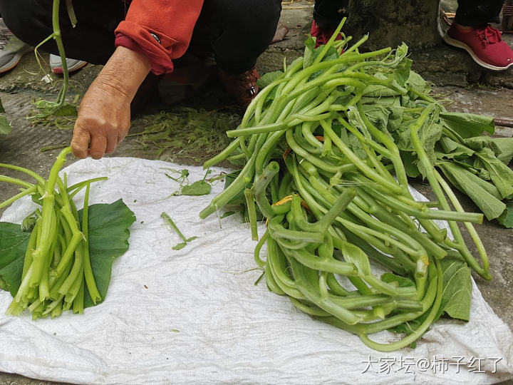 赶大集_食材生活