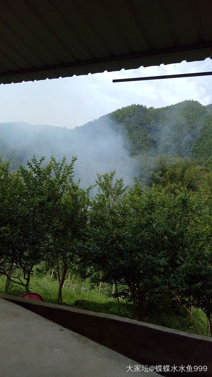 老家。
出门是山，屋后是山。_景色